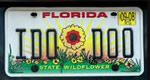 IDO DOO Cheresee's License Plate